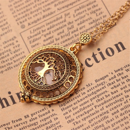 Magnifying necklace