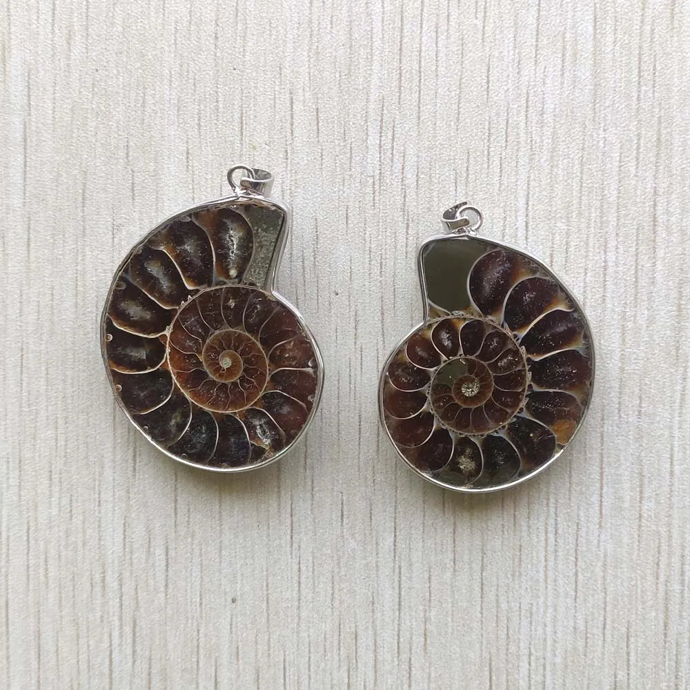 Ammonite fossil necklace