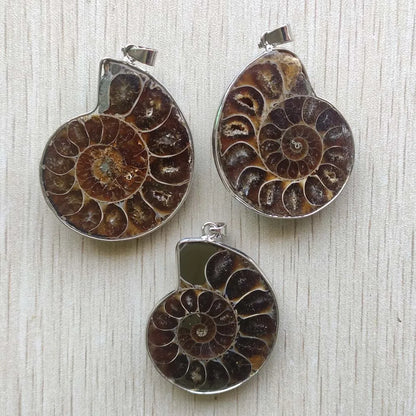 Ammonite fossil necklace